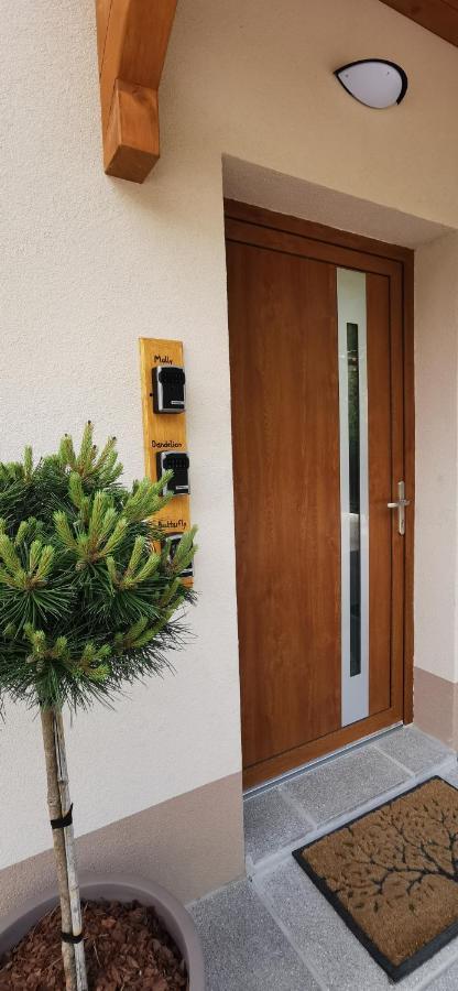 Apartmaji Tmaynka Tolmin Ngoại thất bức ảnh